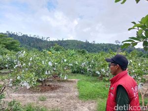 Menikmati Wisata Alam Edukatif di Jambu Marina Kota Batam
