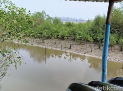 Potongan Payudara di Rawa-rawa Surabaya Milik Pasien Kanker