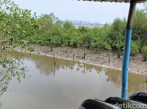 Terkuaknya Misteri Potongan Payudara di Surabaya Terkuaknya Misteri Potongan Payudara di Surabaya