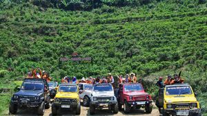 Foto: Sensasi Naik Jeep di Kebun Teh Kemuning, Aduhai Rasanya