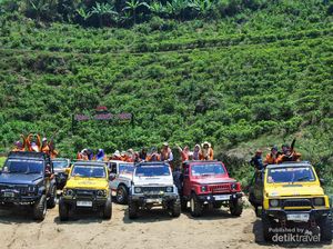 Foto: Sensasi Naik Jeep di Kebun Teh Kemuning, Aduhai Rasanya