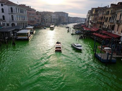 Aktivis Iklim Bikin Air Kanal Venesia Hijau Protes KTT COP28