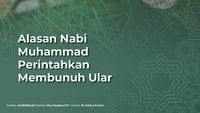 Alasan Nabi Muhammad Perintahkan Membunuh Ular