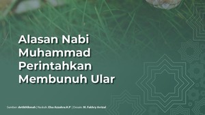 Alasan Nabi Muhammad Perintahkan Membunuh Ular