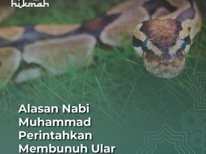 Alasan Nabi Muhammad Perintahkan Membunuh Ular