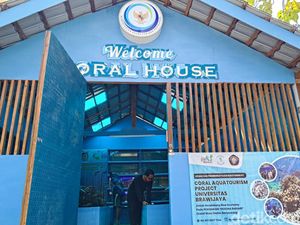 Ekowisata Terumbu Karang Watu Dodol, Cara Sederhana Menuju Ekonomi Biru