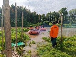 Nelayan di Luwu Tewas Diduga Dimangsa Buaya, Jasad Ditemukan Tidak Utuh