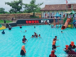 Umbul Nilo Klaten: Jejak Peradaban Kuno dan Kisah Tanaman Pewarna Alami