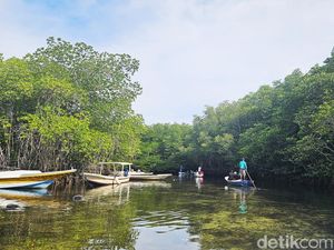 Tur Tradisional di Hutan Mangrove Bali Ini Sangat Kami Rekomendasikan