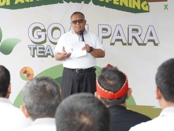 Bupati Sukabumi Genjot Potensi Pariwisata Lewat Goalpara Tea Park