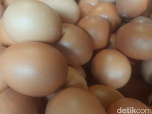 Ilmuwan Pecahkan Teka-teki Lebih Dulu Ayam atau Telur? Ilmuwan Pecahkan Teka-teki Lebih Dulu Ayam atau Telur?