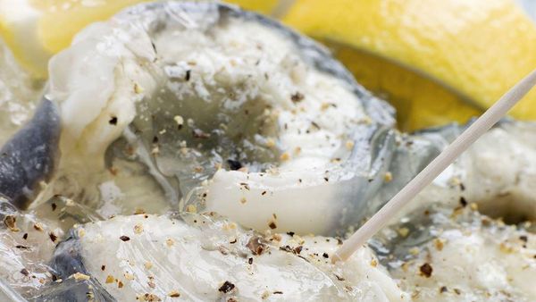 Berani Coba? Ini 10 Hidangan Ikan Terburuk di Dunia