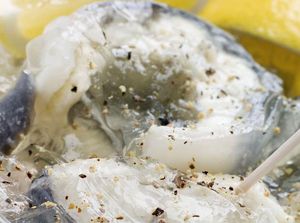 Berani Coba? Ini 10 Hidangan Ikan Terburuk di Dunia Berani Coba? Ini 10 Hidangan Ikan Terburuk di Dunia