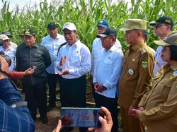 Pastikan Food Estate di Kalteng Jalan, Mentan-Wamenhan Sambangi Gunung Mas