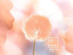 Peach Fuzz Jadi Tren Warna 2024 Versi Pantone, Perpaduan Pink dan Oranye