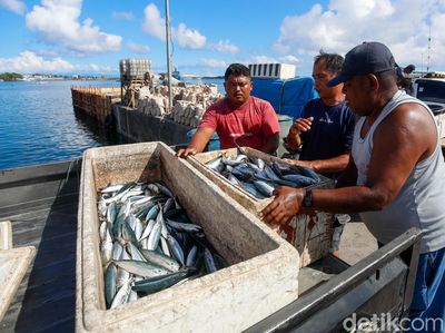 Potret Aktivitas Jual Beli Ikan Pelabuhan Tobelo