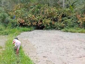 Desa Marante Toraja Utara Dilanda Banjir Lumpur, 3 Hektare Sawah Rusak