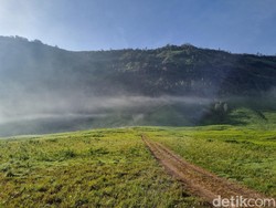 Menikmati Indahnya Bromo yang Kembali Hijau