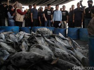 Potret Gibran Blusukan ke Pasar Ikan Modern Muara Baru