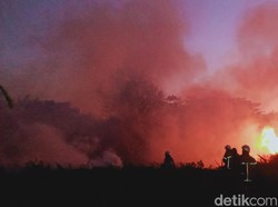 Kebakaran Lahan Kosong di Delanggu, Sempat Ganggu Lalin Jalan Jogja-Solo