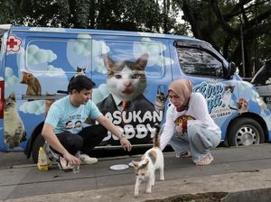 Cara Unik Melly Goeslaw, Kampanyekan Prabowo Lewat Mobil Rescue Kucing Cara Unik Melly Goeslaw, Kampanyekan Prabowo Lewat Mobil Rescue Kucing