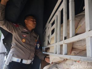 Penyelundupan Pupuk ke Madiun Digagalkan, Truk Diamankan di Tol Kertosono Penyelundupan Pupuk ke Madiun Digagalkan, Truk Diamankan di Tol Kertosono