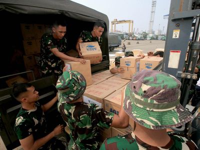 Potret Bantuan Kemanusiaan untuk Palestina