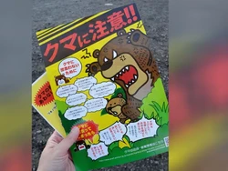 Serangan Beruang di Jepang Cetak Rekor!