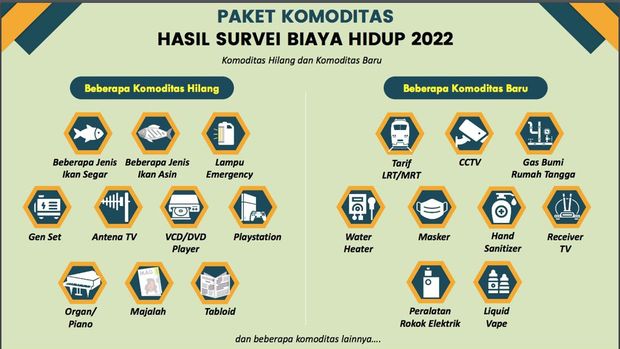 Survei Biaya Hidup 2022 (Dok. BPS)