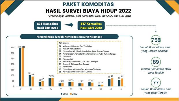 Survei Biaya Hidup 2022 (Dok. BPS)