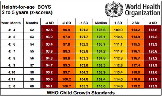 Tabel tinggi badan anak laki-laki 2 - 5 tahun (z scores)