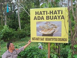 Buaya Ancam Warga di Sungai Palopo, Polisi Pasang Peringatan Waspada