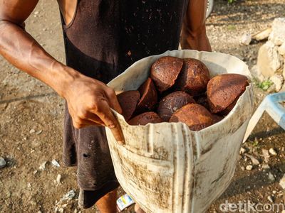 Internet Bikin Bisnis Gula Aren di Halut Makin Tokcer