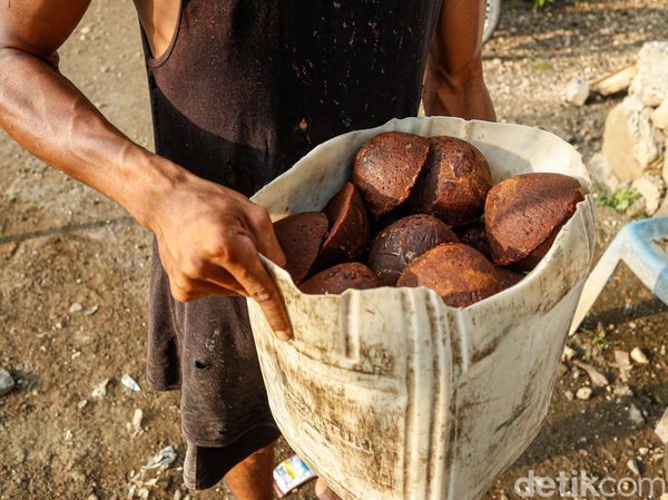 Internet Bikin Bisnis Gula Aren di Halut Makin Tokcer