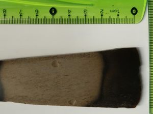 Saat Seorang Nenek di Polandia Temukan Artefak Kapak Batu dari 2.400 SM Saat Seorang Nenek di Polandia Temukan Artefak Kapak Batu dari 2.400 SM