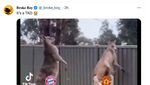 Meme MU Si Badut Ditendang dari Fase Grup Liga Champions