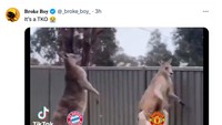 Bayern menendang MU bak Kangguru berantem, tendangan-tendangan. (Foto: Twitter @_broke_boy_)