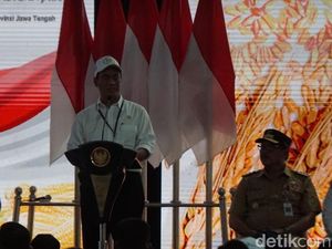 Mentan ke Jokowi: Bapak Presiden, Kami Keliling 11 Provinsi Keluhannya soal Pupuk