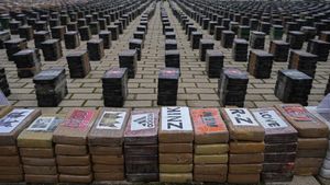 Penampakan 11 Ton Kokain yang Disita Polisi Spanyol