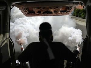 Perang Terhadap DBD di Venezuela