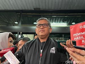 Hasto Kritik Rencana Prabowo Impor 1,5 Juta Sapi: Tak Selesaikan Stunting