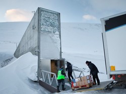 Menelisik Tempat Teraman di Bumi