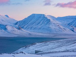 Mengintip Gudang Kiamat, Persiapan Perang Hadapi Krisis Pangan