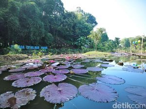 Talaga Citalaga Pasir, Ruang Publik Hijau di Utara Kota Bandung
