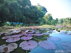 Talaga Citalaga Pasir, Ruang Publik Hijau di Utara Kota Bandung