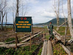Tak Cuma Keamanan, TNI di Tobelo Bantu Genjot Ekonomi-Ketahanan Pangan Tak Cuma Keamanan, TNI di Tobelo Bantu Genjot Ekonomi-Ketahanan Pangan