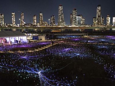 17 Ribu Lampu Sulap Tanah Lapang di New York Bak Negeri Dongeng