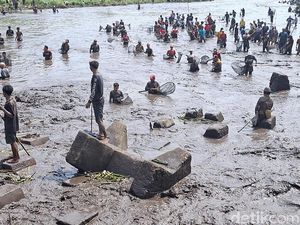 Melihat Asatan, Momen Berburu Ikan di Bendungan Sampean Baru Bondowoso Melihat Asatan, Momen Berburu Ikan di Bendungan Sampean Baru Bondowoso