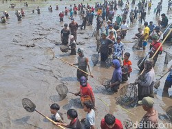 Serunya Warga Berburu Ikan Saat Asatan Bendungan Sampean Baru Bondowoso