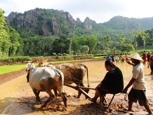 Apa Itu Quality Tourism yang Kini Jadi Fokus Dispar Jogja? Apa Itu Quality Tourism yang Kini Jadi Fokus Dispar Jogja?